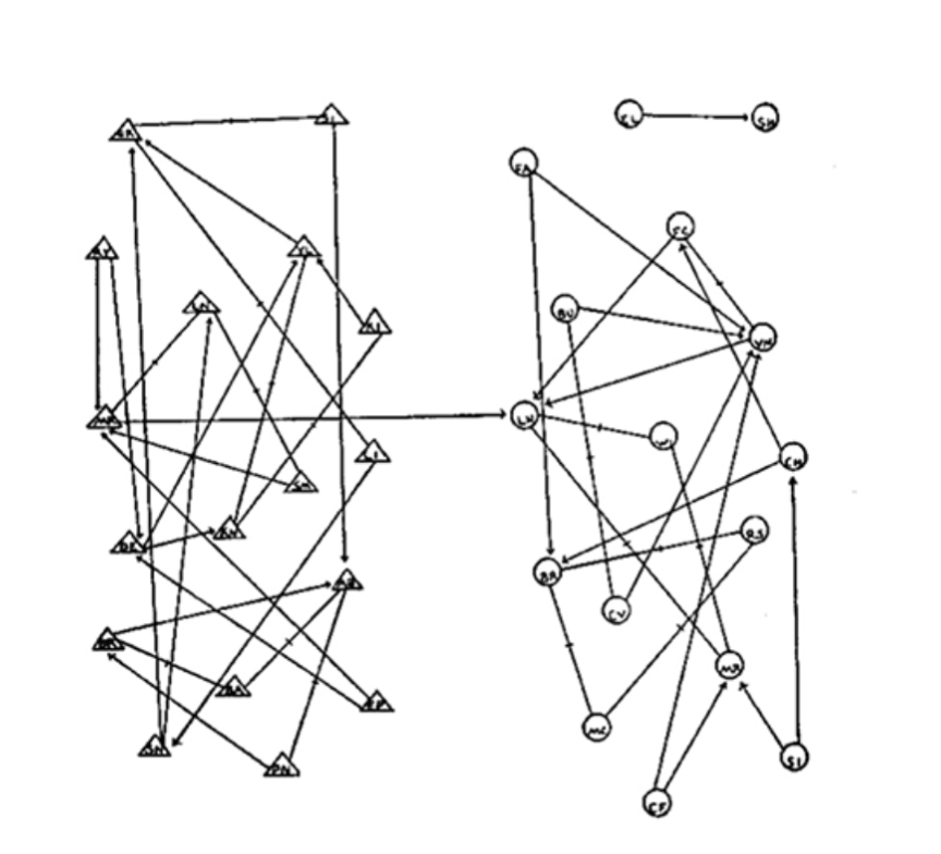 The sociogram shows interconnections among boys on the left and girls on the right, with only one friendship crossing the gender line. There is one "loner pair" of girls at top right, with the rest of the kids interwoven in their connections.