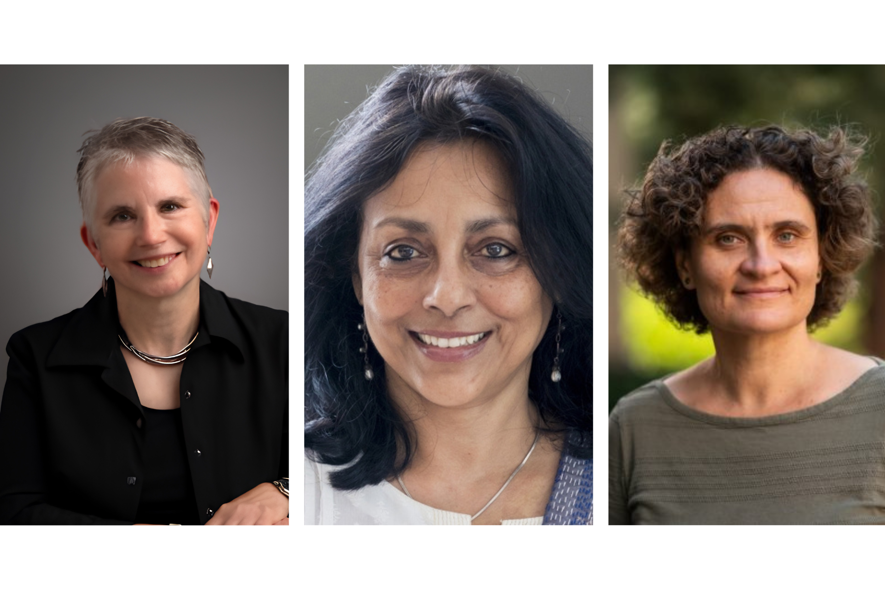Ruma Banerjee, Nancy Burns and Elizaveta (Liza) Levina