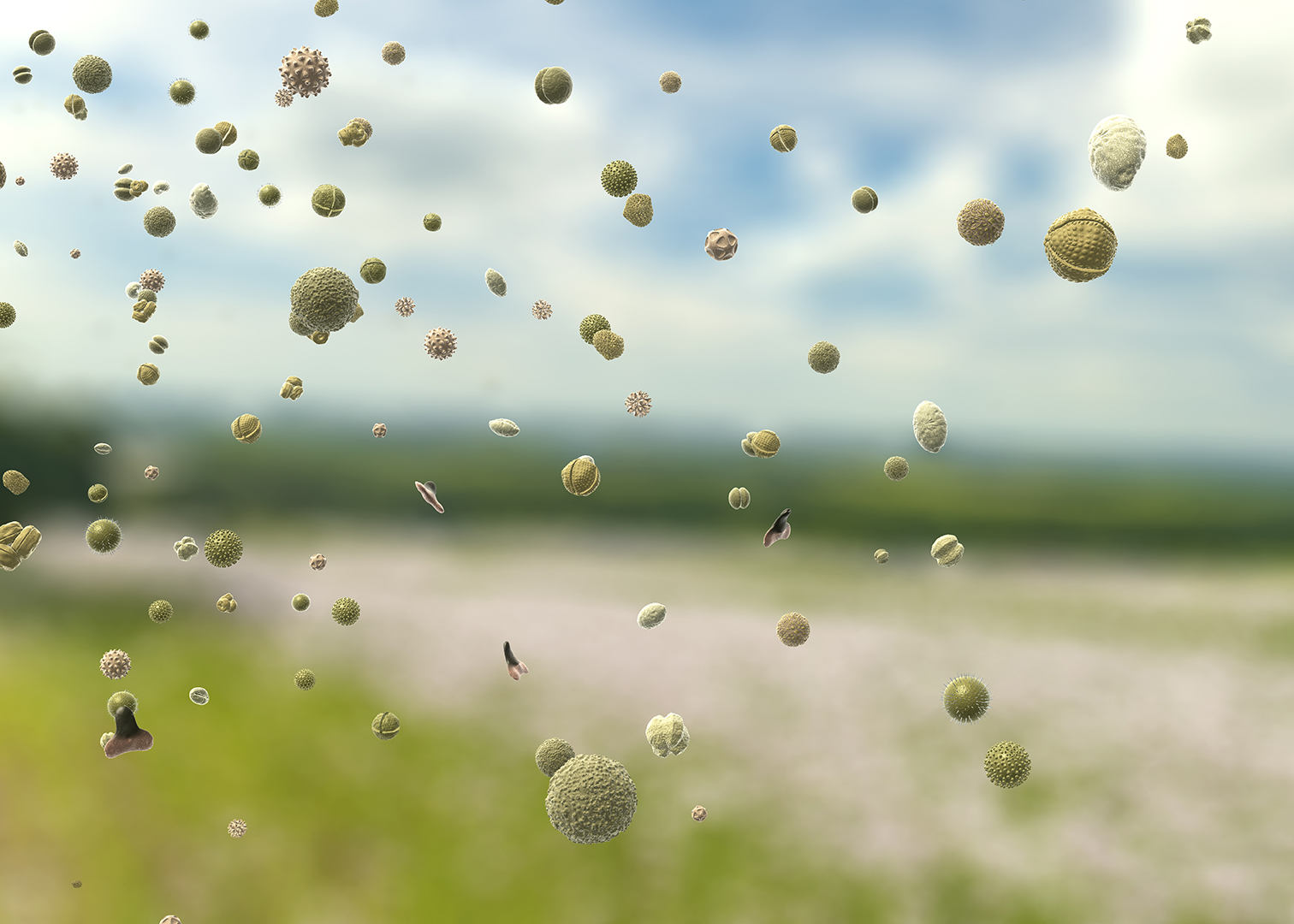 Pollen grains, which can trigger allergies, are transported through the air in a meadow in spring - 3d illustratio,
